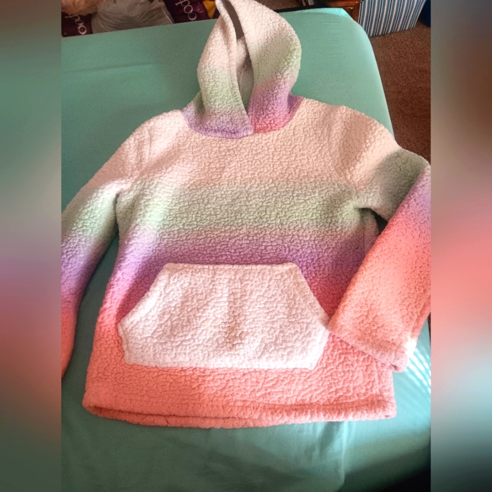 Girls size 10, Girls Rule hooded pullover